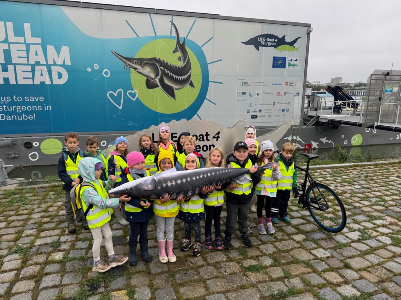 Ausflug zu den Stören auf der Donauinsel