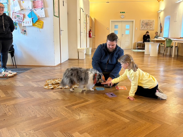 Ein Therapiebegleithund zu Besuch