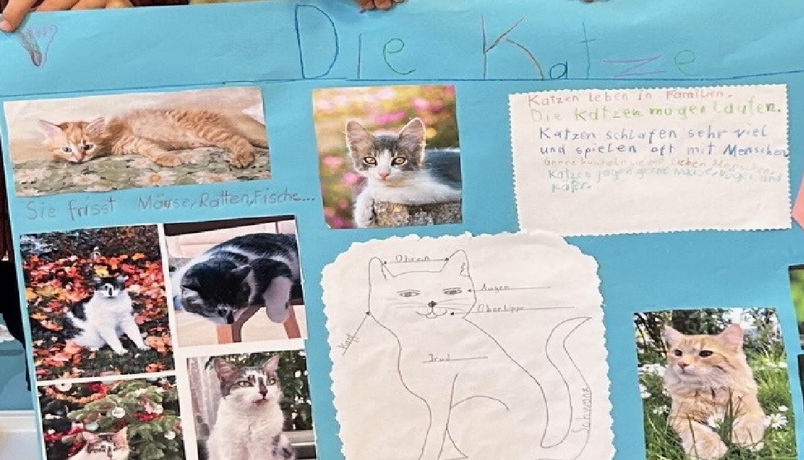 Gruppenprojekt Tiere