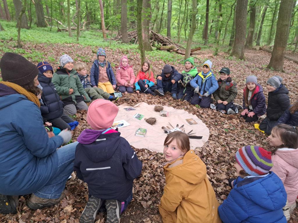 Klassenzimmer Wald im April