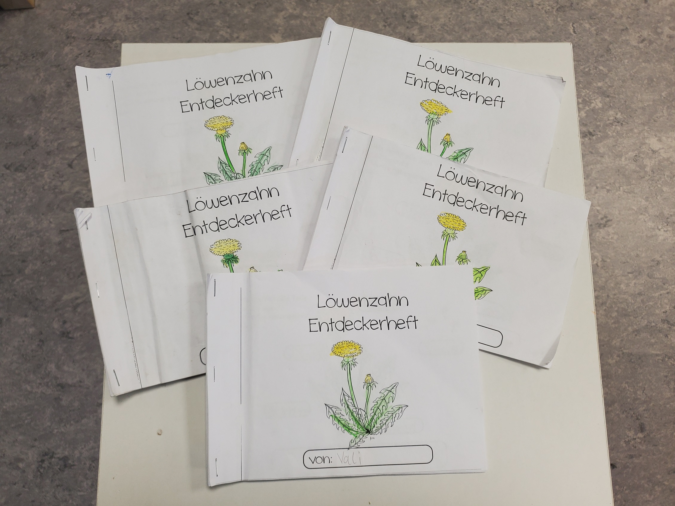 Löwenzahnprojekt